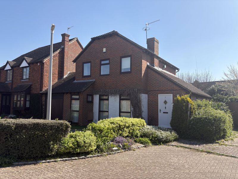 Main Image